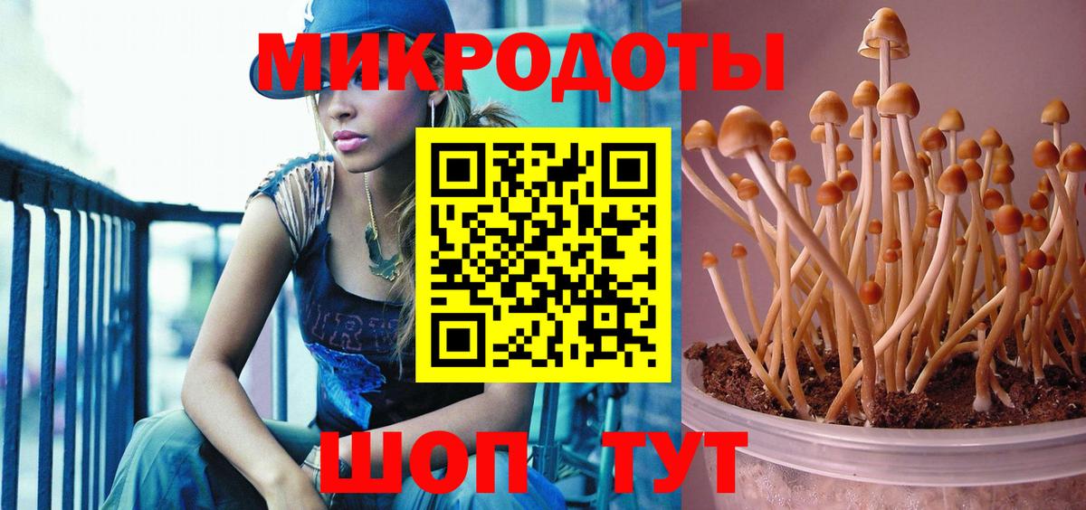 Галлюциногенные грибы мухоморы  Псилоцибиновые грибы Psilocybine cubensis  сколько стоит  Грязи  Вход с VPN 