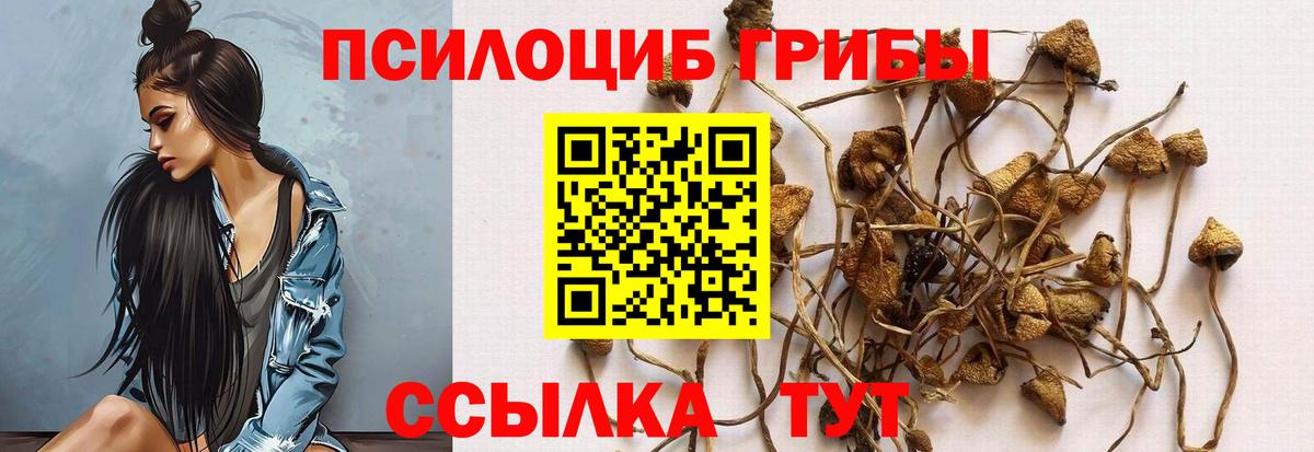 Псилоцибиновые грибы Magic Shrooms Грязи